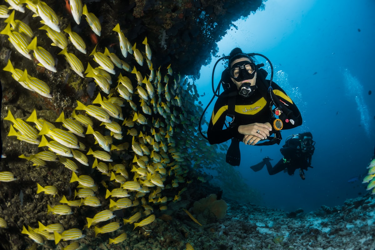 Snorkeling for All Ages